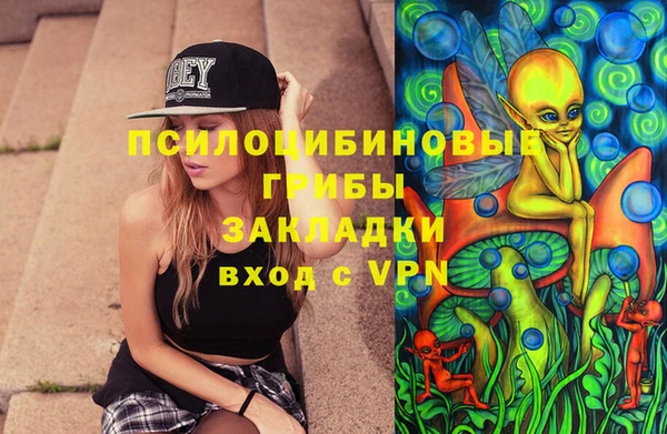 дживик Алзамай