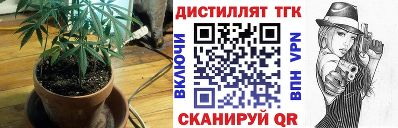 ТГК Wax  где найти   Краснознаменск 